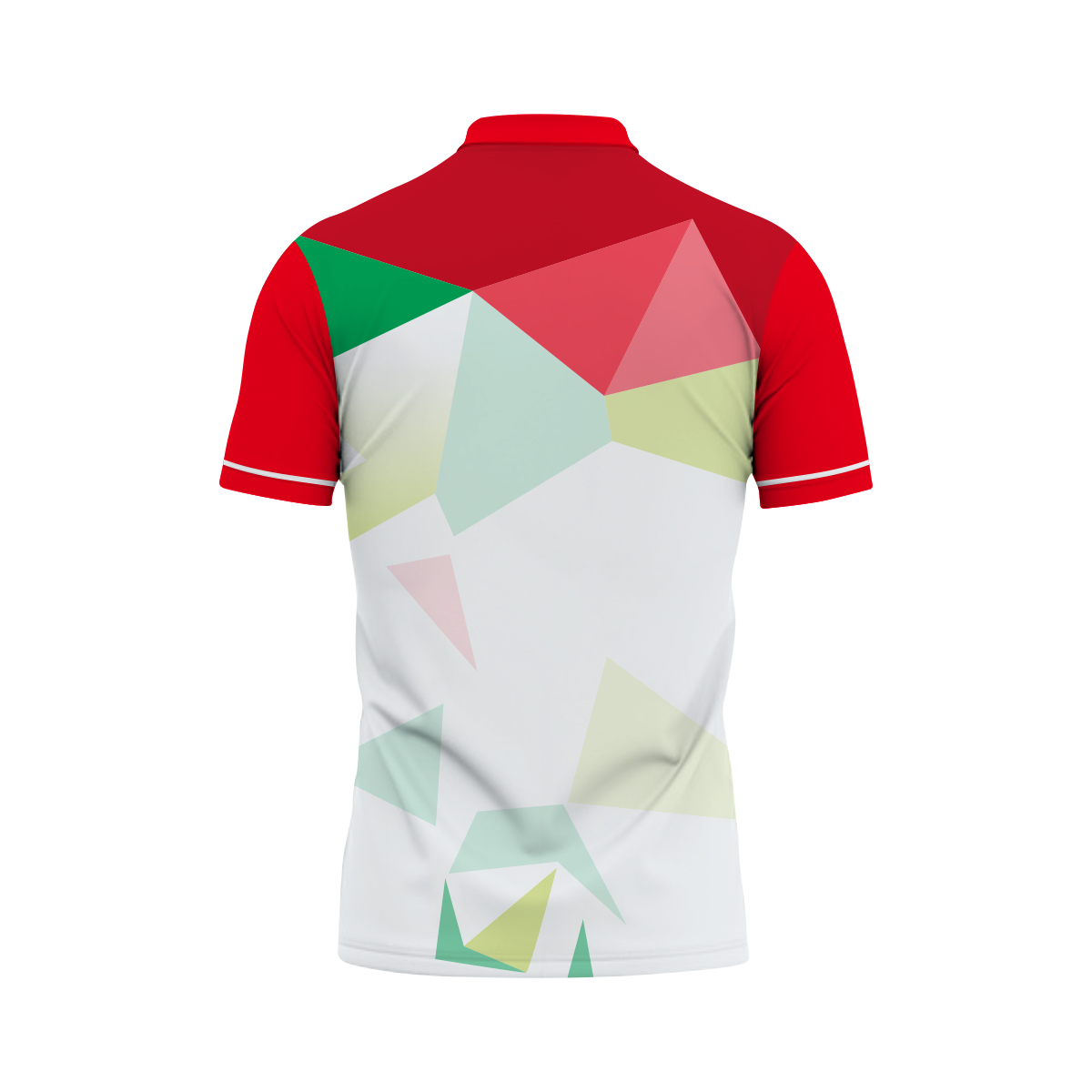 Polo Shirt 3 back